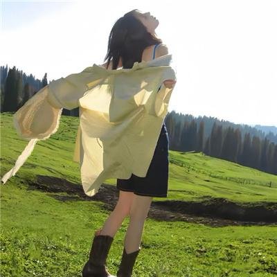 金车美人