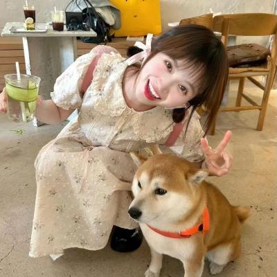 河曲马