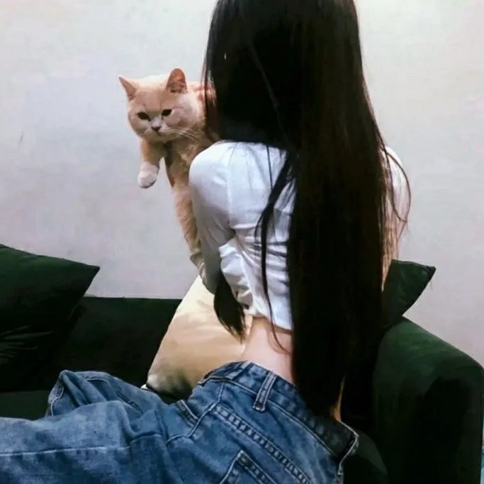 不要多问